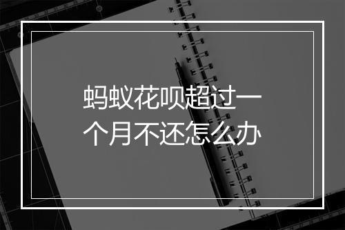 蚂蚁花呗超过一个月不还怎么办