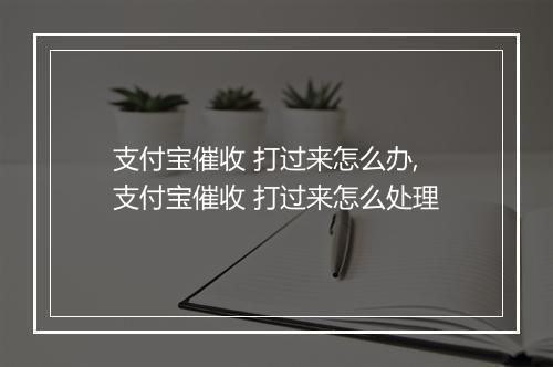 支付宝催收 打过来怎么办,支付宝催收 打过来怎么处理