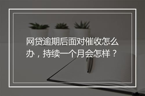 网贷逾期后面对催收怎么办，持续一个月会怎样？