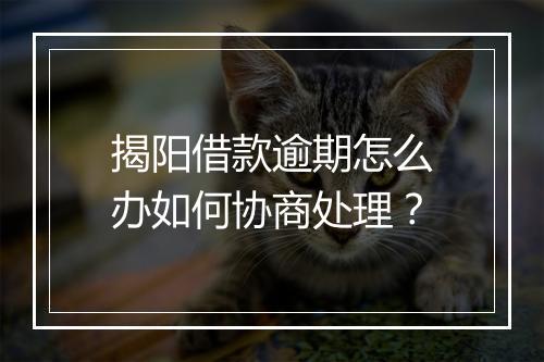 揭阳借款逾期怎么办如何协商处理？