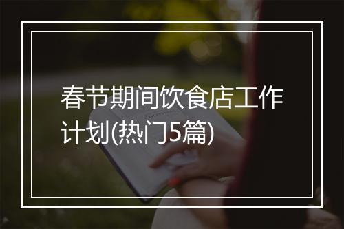 春节期间饮食店工作计划(热门5篇)