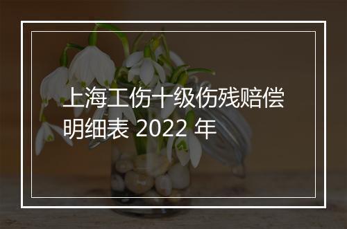 上海工伤十级伤残赔偿明细表 2022 年