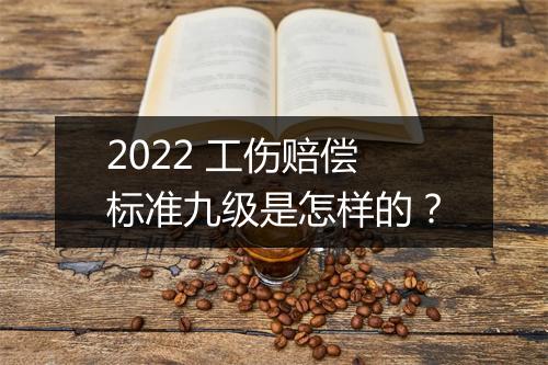 2022 工伤赔偿标准九级是怎样的？