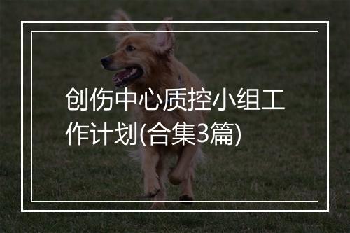 创伤中心质控小组工作计划(合集3篇)