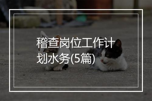 稽查岗位工作计划水务(5篇)