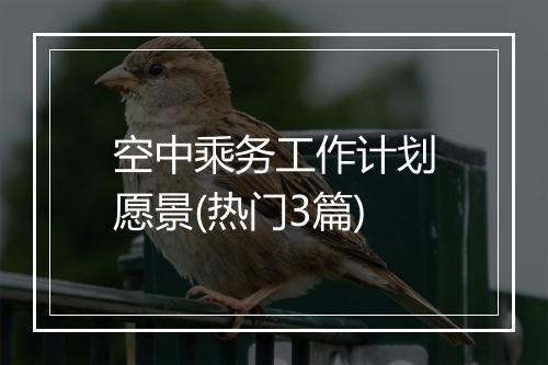 空中乘务工作计划愿景(热门3篇)