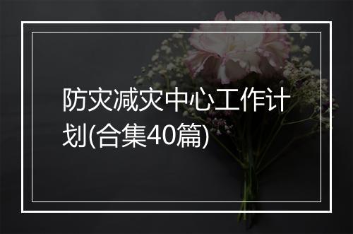 防灾减灾中心工作计划(合集40篇)