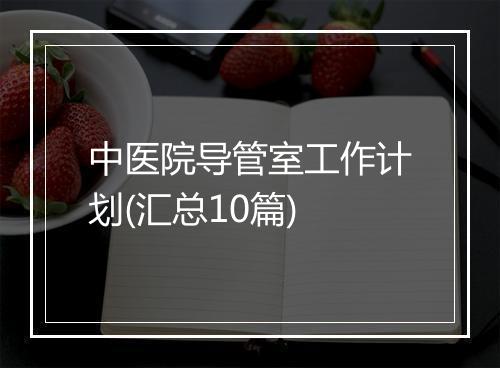 中医院导管室工作计划(汇总10篇)