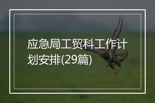 应急局工贸科工作计划安排(29篇)