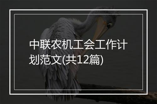 中联农机工会工作计划范文(共12篇)