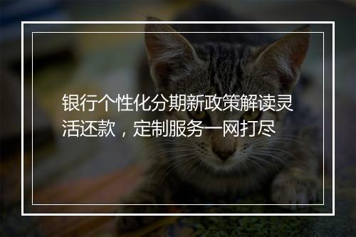 银行个性化分期新政策解读灵活还款，定制服务一网打尽