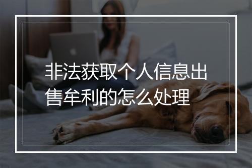 非法获取个人信息出售牟利的怎么处理