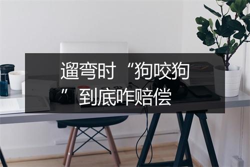 遛弯时“狗咬狗”到底咋赔偿
