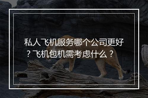 私人飞机服务哪个公司更好？飞机包机需考虑什么？