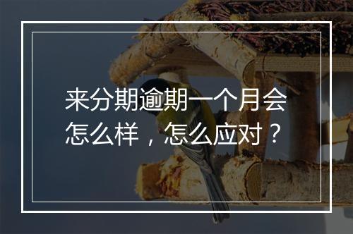 来分期逾期一个月会怎么样，怎么应对？