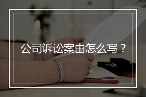 公司诉讼案由怎么写？