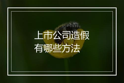 上市公司造假有哪些方法