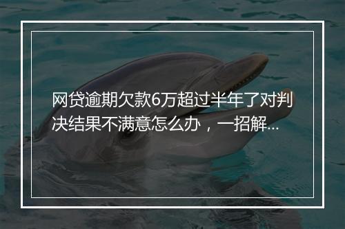 网贷逾期欠款6万超过半年了对判决结果不满意怎么办，一招解决
