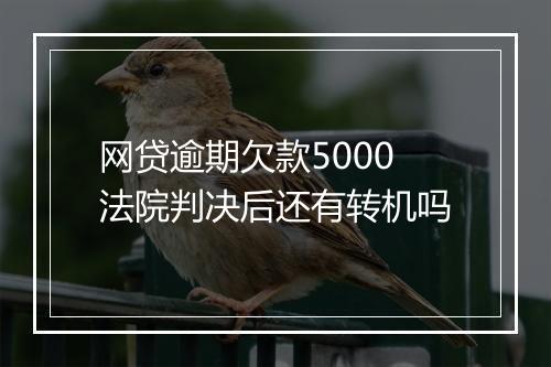 网贷逾期欠款5000法院判决后还有转机吗