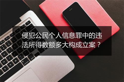 侵犯公民个人信息罪中的违法所得数额多大构成立案？