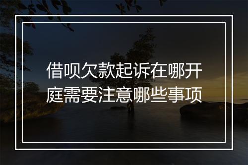借呗欠款起诉在哪开庭需要注意哪些事项