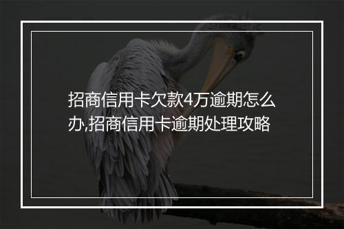 招商信用卡欠款4万逾期怎么办,招商信用卡逾期处理攻略