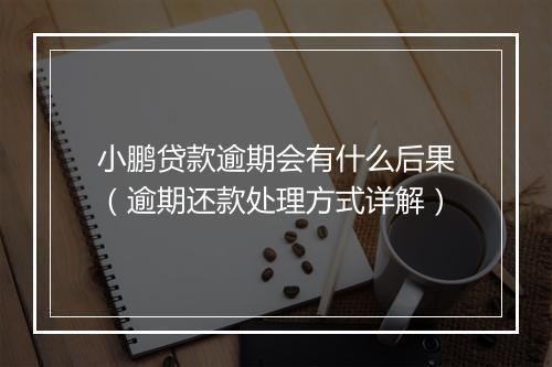 小鹏贷款逾期会有什么后果（逾期还款处理方式详解）