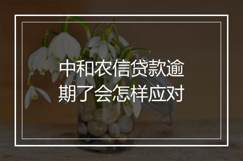 中和农信贷款逾期了会怎样应对