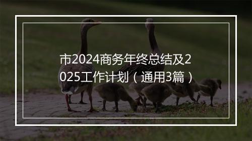 市2024商务年终总结及2025工作计划（通用3篇）