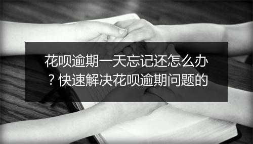 花呗逾期一天忘记还怎么办？快速解决花呗逾期问题的
