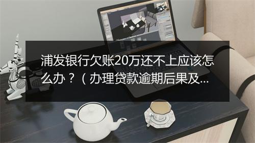 浦发银行欠账20万还不上应该怎么办？（办理贷款逾期后果及解决 ）