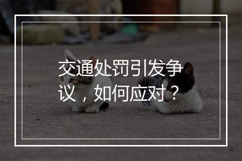 交通处罚引发争议，如何应对？