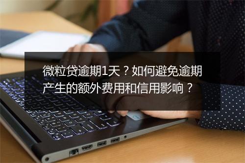 微粒贷逾期1天？如何避免逾期产生的额外费用和信用影响？