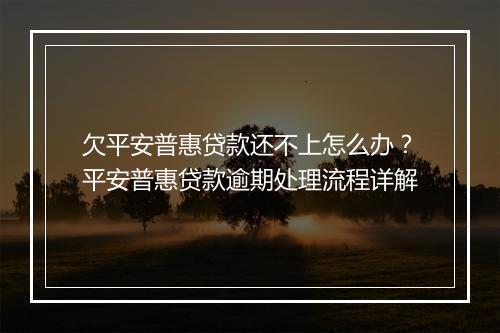 欠平安普惠贷款还不上怎么办？平安普惠贷款逾期处理流程详解