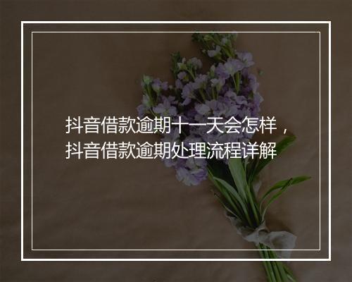 抖音借款逾期十一天会怎样，抖音借款逾期处理流程详解