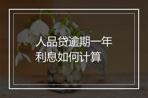 人品贷逾期一年利息如何计算