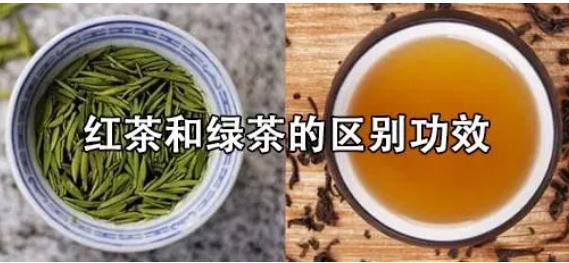 红茶和绿茶的区别功效 二者的常见功效及区别