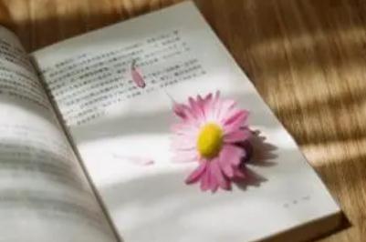口舌造句_口舌怎么造句_用口舌造句子 30句