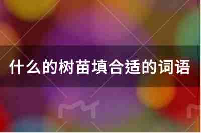 什么的树苗填合适的词语有哪些？