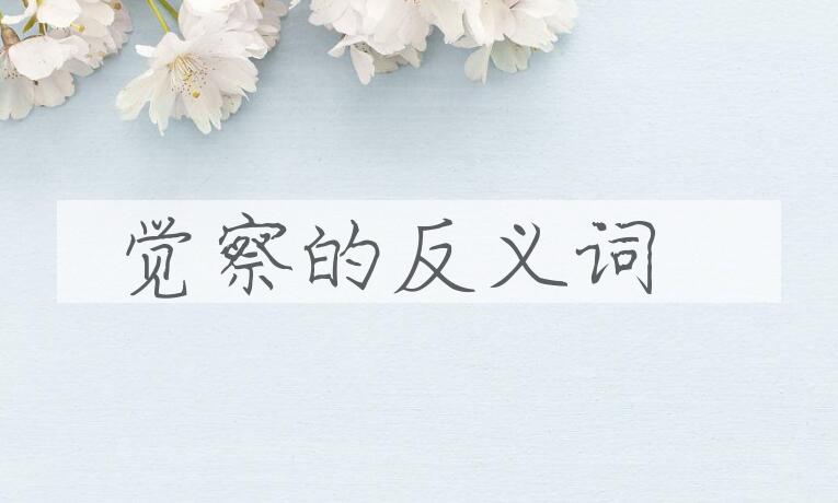 觉察的反义词 觉察的反义词是什么