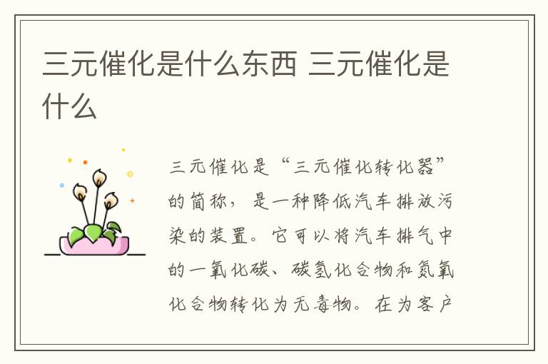 形容女人包浆是什么意思