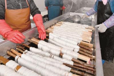 农村有哪些致富项目可以做的？可以参与的