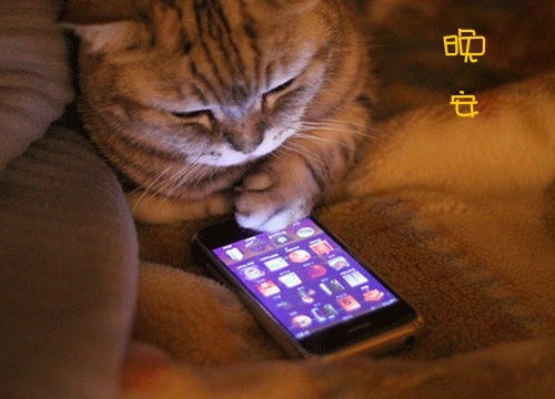 知名网红中国boy大基佬言论翻车！UP主中国boy道歉，大家接受他的道歉吗