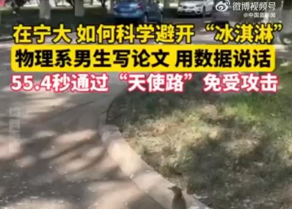宁大学生就科学躲避鸟粪写了篇论文